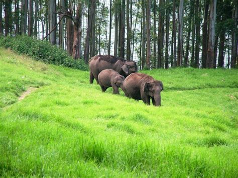 Biosphere Reserves in India - Javatpoint