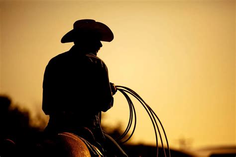 Rodeo cowboy silhouette