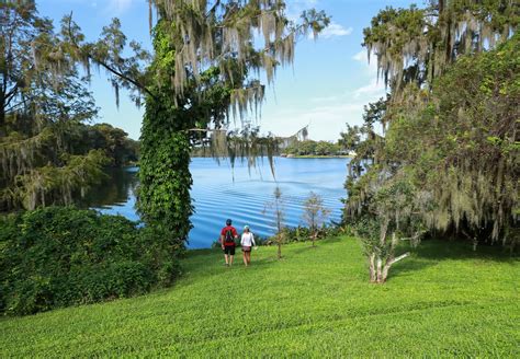 Ultimate Guide To The Leu Gardens, in Orlando | CuddlyNest