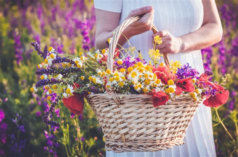 Woman picking flowers #1