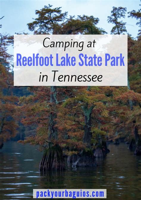 Camping at Reelfoot Lake State Park in Tennessee - Pack Your Baguios