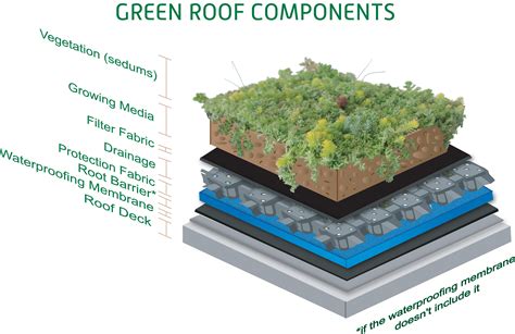 The Benefits of a (Green) Sedum Roof