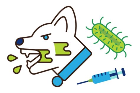 Rabies – Using One Health to fight the original zombie virus - One ...