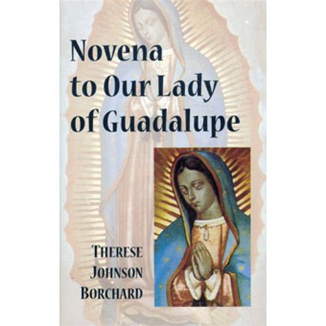 Novena to Our Lady of Guadalupe – The Catholic Gift Store