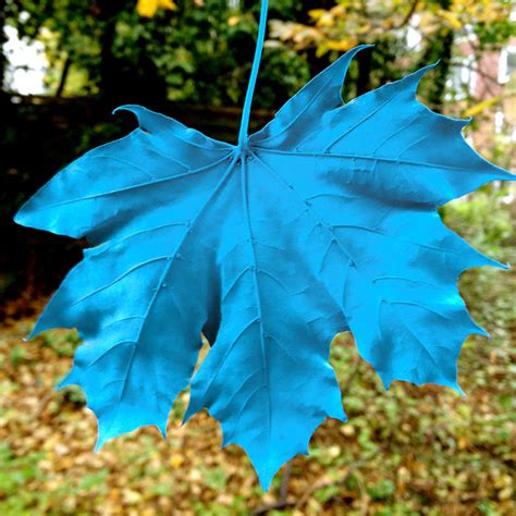 This Unique DIY Fall Decor Idea Will Give The Most Beautiful View From ...