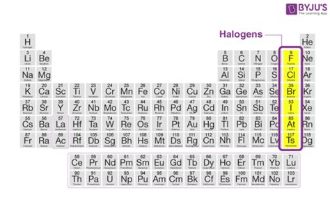 Halogen Family Elements On The Periodic Table | Elcho Table