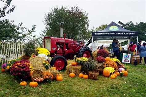 Scenes from the Annual Cranberry Harvest Celebration - New England Today