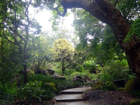 Golden Gate Park Botanical Garden