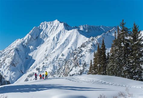 Alta Ski Area [Skiing, Lodging, Maps] | Visit Utah