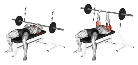 Close Grip Bench Press: Benefits and Muscles Worked (with Pictures ...