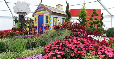 First look at Southport Flower Show 2018 as it gears up for an exciting ...