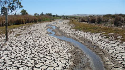 For global wetlands, intensifying droughts pose a ‘diabolical’ threat