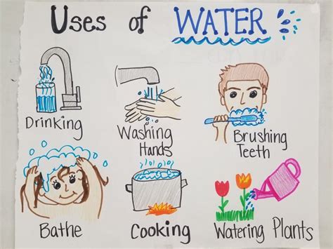 uses of water 1st grade teks anchor chart theme preschool crafts kids