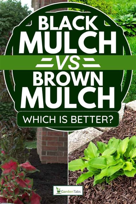 Black Mulch Vs. Brown Mulch Pros & Cons: Which Is Better?