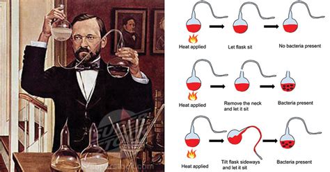 Louis Pasteur and his contributions