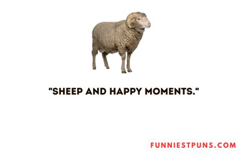 90+ Funny Sheep Puns And Jokes - Funniest Puns