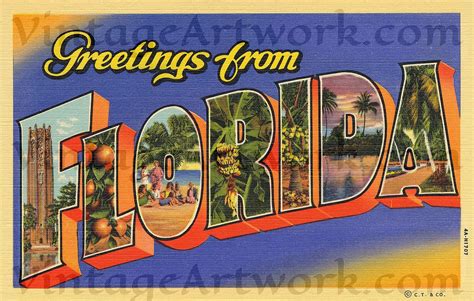 Greetings From Florida Postcard Front, Digital Download, Curt Teich ...