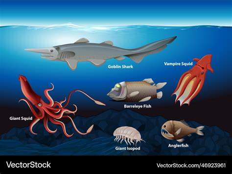 Deep sea creatures collection Royalty Free Vector Image