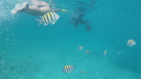 Snorkel en CAYO SANTA MARIA - CUBA - YouTube