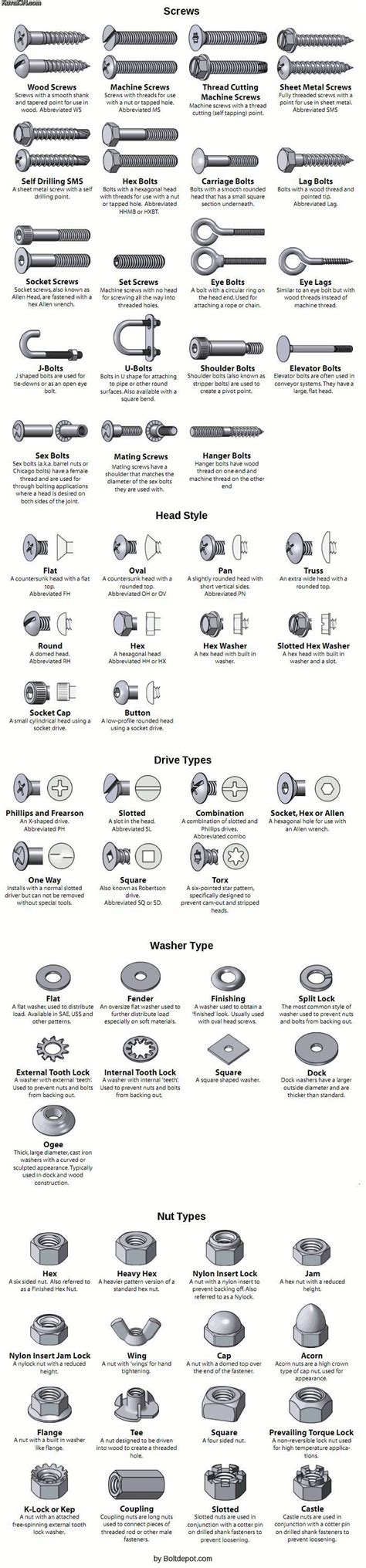 Types of screws and nuts : r/coolguides