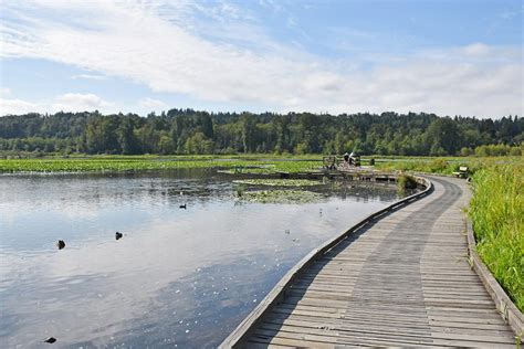 Burnaby Lake Regional Nature Park | City of Burnaby