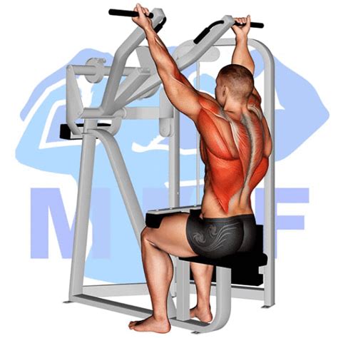 Reverse Grip Lat Pulldown: Your Easy How-To Guide