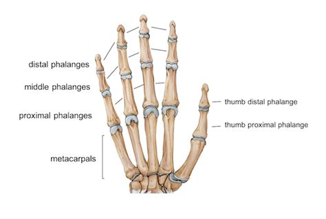 Finger fractures