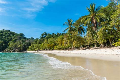 Manuel Antonio Travel Guide: Beaches, Rainforest, Hotels + More - Costa ...