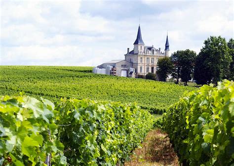 Bordeaux wine tours - useful guide to oenotourism in Bordeaux wine region