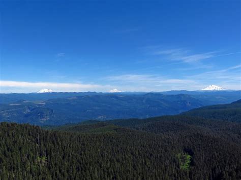 Larch Mountain in Oregon | Mountains, Oregon landscape, Columbia river ...