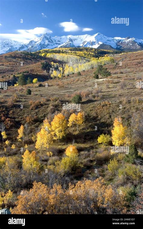 Fall Colors in San Juan Mountains, Colorado, USA Stock Photo - Alamy