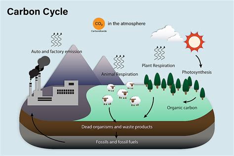 What is the Cycle of Poverty? - WorldAtlas