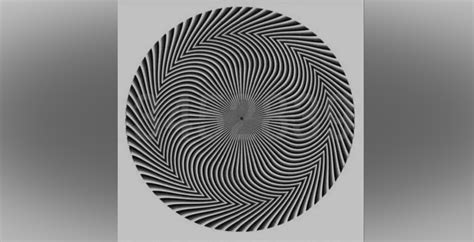 Which numbers do you see? Another viral optical illusion puzzles ...