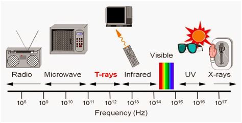 Science online: Examples and some technological applications of ...