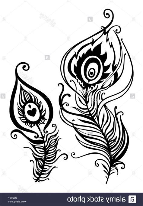 peacock feather clip art black and white 10 free Cliparts | Download ...