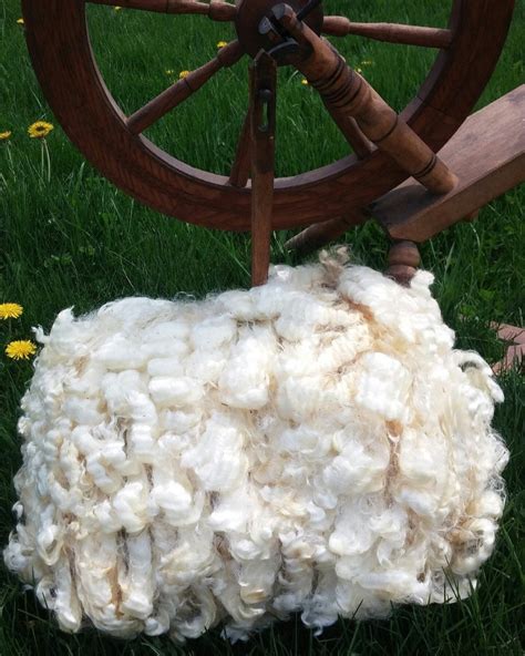 Natural Wool Fibers | Leicester Longwool Sheet | Raw Fleece, Roving ...