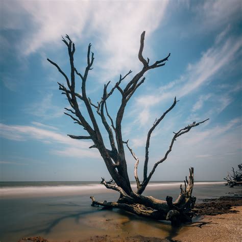 Botany Bay, South Carolina (Photo & Travel Guide)