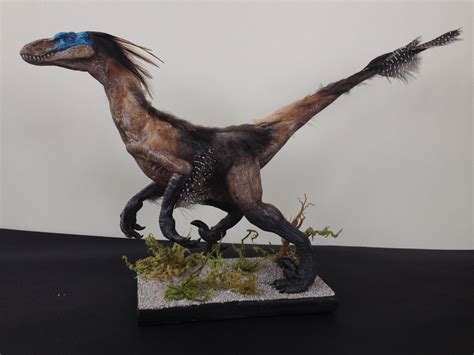 Velociraptor Mongoliensis sculpture (with real feathers!!) — Stan ...