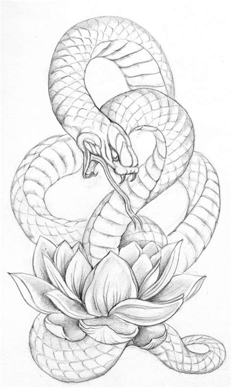 Snake Drawings Tattoos - Snake Tattoo Tattoos Designs Sketches Drawing ...