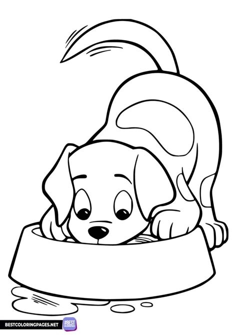 Printable cat and dog coloring pages - Free printable coloring pages