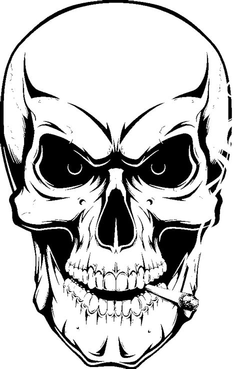 How to draw a Human skull drawing within 3 easy steps - easydrawingclub