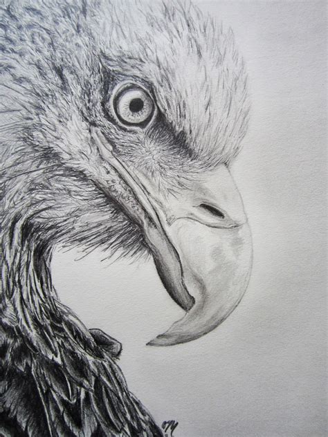 Pin by Chrystele Lemetayer on Oiseaux | Eagle drawing, Epic drawings ...