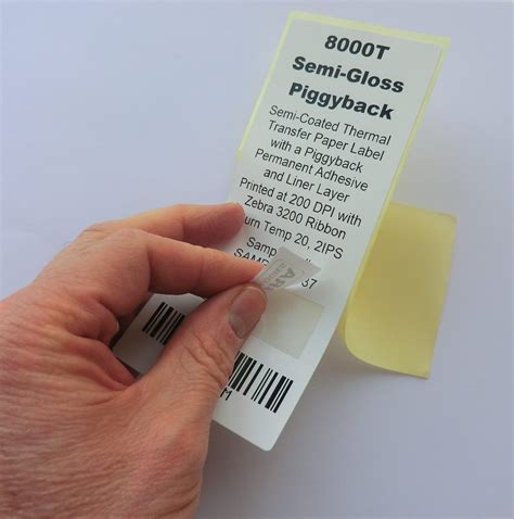 PiggyBack Labels - Expert Labels