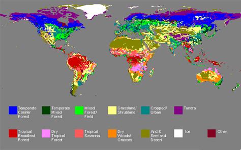 Natural Vegetation Map Of Europe - United States Map