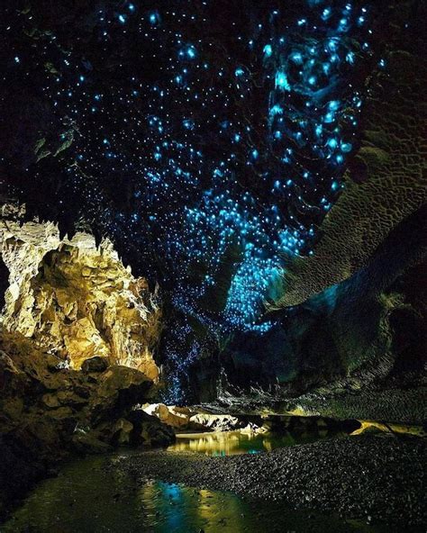 Waitomo Glowworm Caves, New Zealand | The Out Door Wear