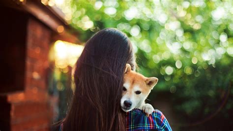 Girl With Dog Wallpapers - Wallpaper Cave