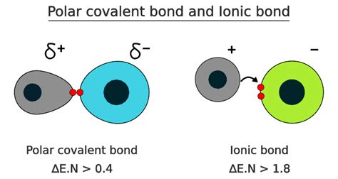 Polar vs Nonpolar bonds: What is the Main Difference? - PSIBERG