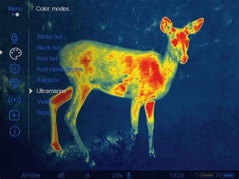 Night Vision vs. Thermal | Thermal and Night Vision Devices