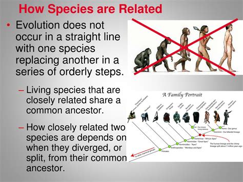 Evolutionary Biology