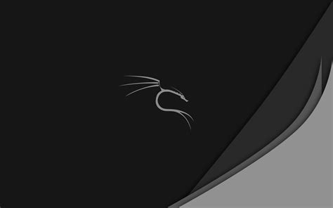 Kali Linux Wallpapers - Top Free Kali Linux Backgrounds - WallpaperAccess